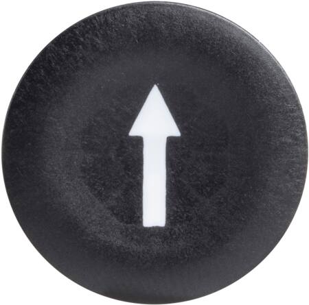 TRYKFLADE MED HVID PIL   ZBA335