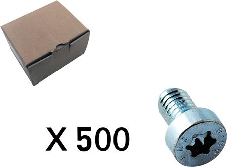 500 CYLINDERSKRUE, TORX, LAVT HOVED