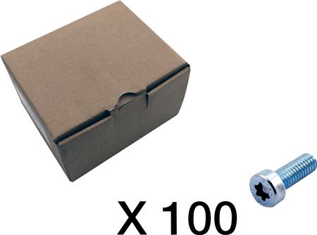 100 CYLINDERSKRUE, TORX