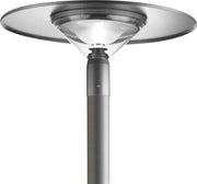 TWILIGHT CANBERRA TOP HAT