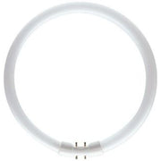 Lysrør TL5 circular 22W/830 Primær ø16x220mm