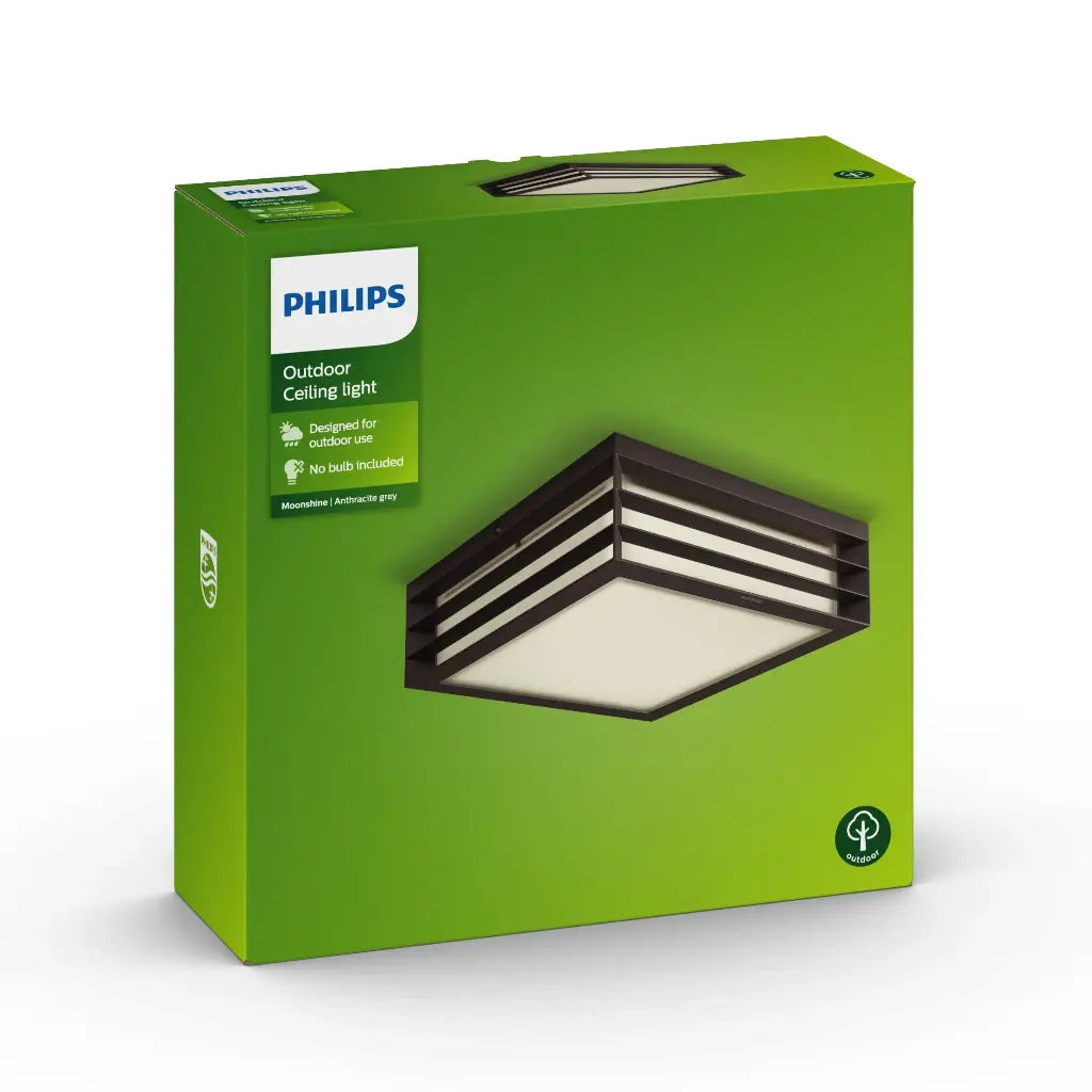 Moonshine Pendant Ceiling anthracite 2x14W 230V