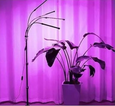 LEDlife vækstlys med stativ - Sort, 4 lamper, justerbar højde, fleksible arme