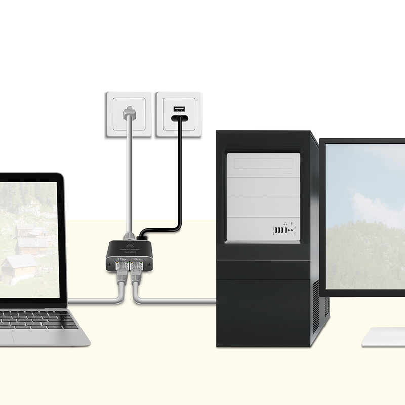 Gigabit Ethernet Splitter - 1 ind til 2 ud, 1000 Mbit/s