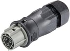 RST25I3 Stik hun grå Ø=13-18mm