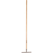 Galax rive, 12-tands/30,5 cm