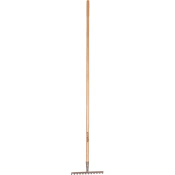 Galax rive, 12-tands/30,5 cm