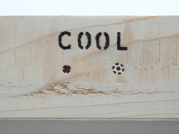 Pyrografi (træbrænde) pen - 30W