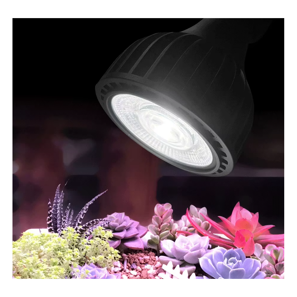 30W PAR38 Full Spectrum Vækstpære med 55 graders spredning og E27 fatning, 2700lm, RA97 (230V)