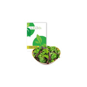 Pluksalat frø - Baby Leaf blanding, 0,2g - Restsalg til din have!