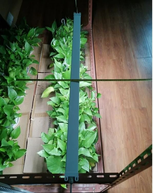 LEDlife 50W Philips LED vækstarmatur - 112,5 cm, RA95, fuldt spektrum, IK05, IP65