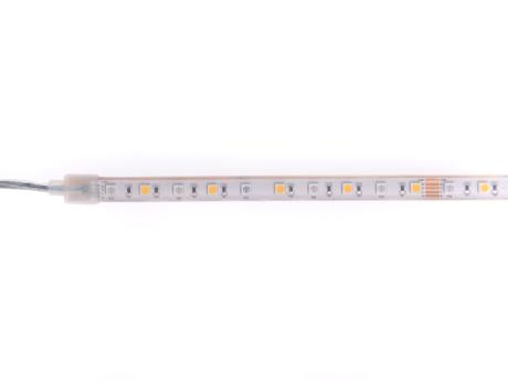 DIOFLEX PRO II 14,4W/m 24V RGBW 900lm 60L 5m IP68