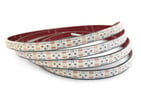 COO LED bånd 5m 24V 14,4W 4000K IP68 m/2x3m kabel