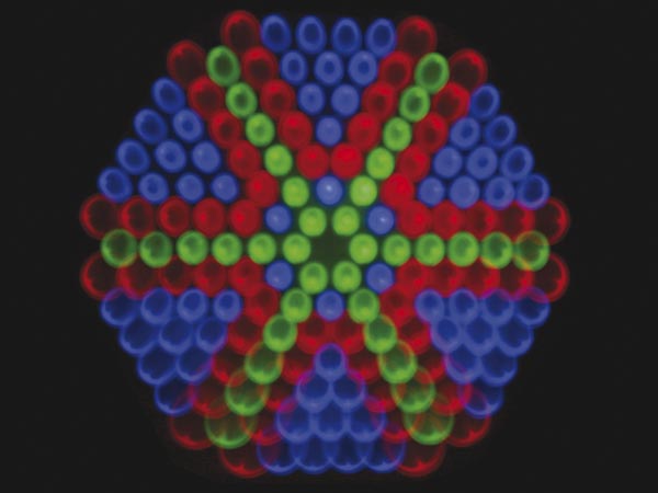 COPERNICUS I Moonflower, 162 LEDs, 6 kan. DMX