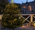 Knirke Julelys 234L Klar/Grøn