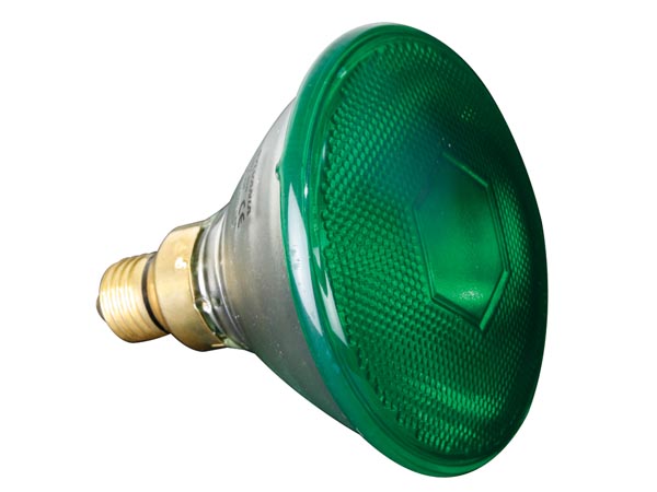 PAR38 pære - 230V / 80W, E27 sokkel, GRØN (Omnilux 2000h)