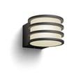 LUCCA HUE WALL LANTERN ANTHRACITE 1X9W