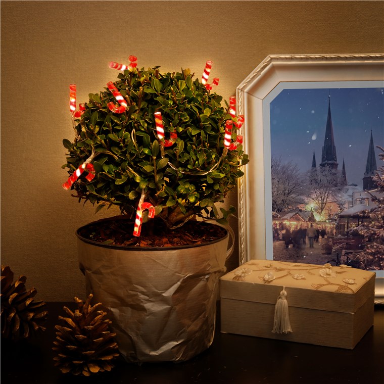 LED lyskæde - 10 x "Slikstokke" (1,2m)