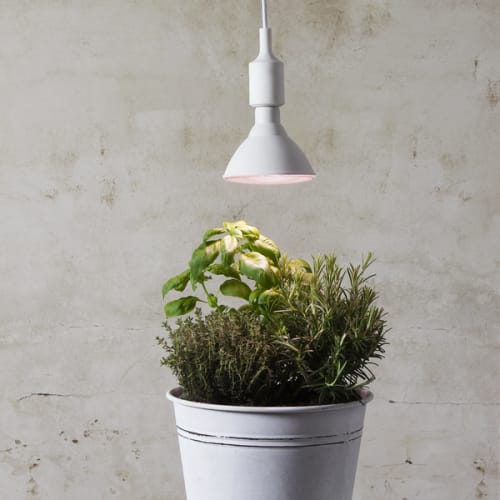 LED Vækstpære Plantelys (Planten Vokser) 16W 1200 lumen, E27, 90°