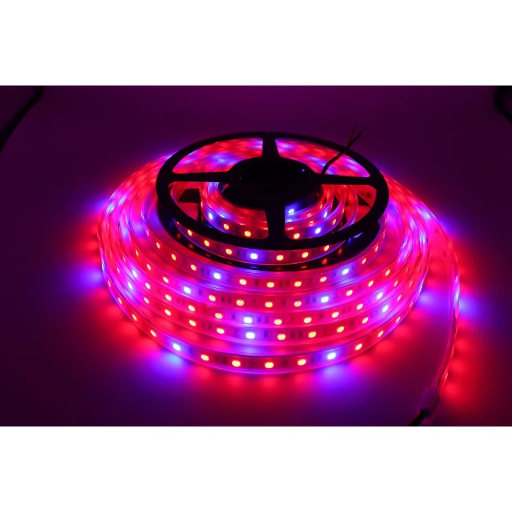 8,5W/m Stænktæt Vækst LED Strip - 5m, 60 LED/m, 24V DC, IP65