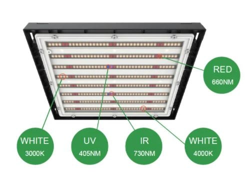 LEDlife Helios vækstlampe 150W, IP65 - Inkl. ophæng, fuldt spektrum, uden blæser, justerbar lysstyrke