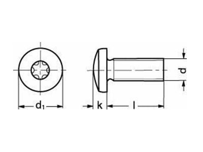 Maskinskrue, panhoved - M2x10mm, TX6, A2 rustfri (1000 stk.)