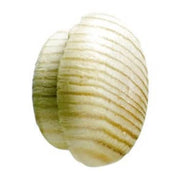 Dækprop 9,5x 16mm fyr