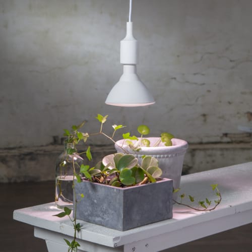 LED Vækstpære Plantelys (Planten Vokser) 16W 1200 lumen, E27, 90°