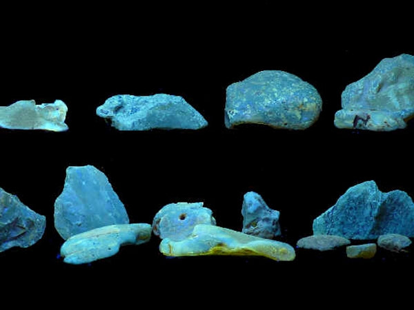 UV LED lommelygte + 3,6W CREE LED (365nm)