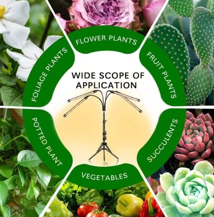 LEDlife vækstlys med stativ - Sort, 4 lamper, justerbar højde, fleksible arme