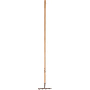 Galax rive, 10-tands/25,2 cm