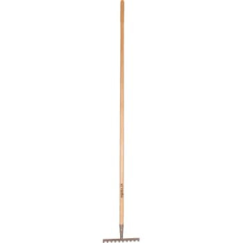 Galax rive, 10-tands/25,2 cm