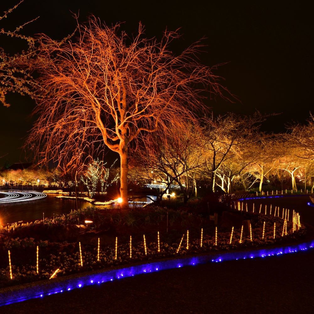 20W LED-projektør i sort hus med rødt lys - Effekt: 20W, RA70, IP65 - Vejr- og støvtæt design til udendørs brug