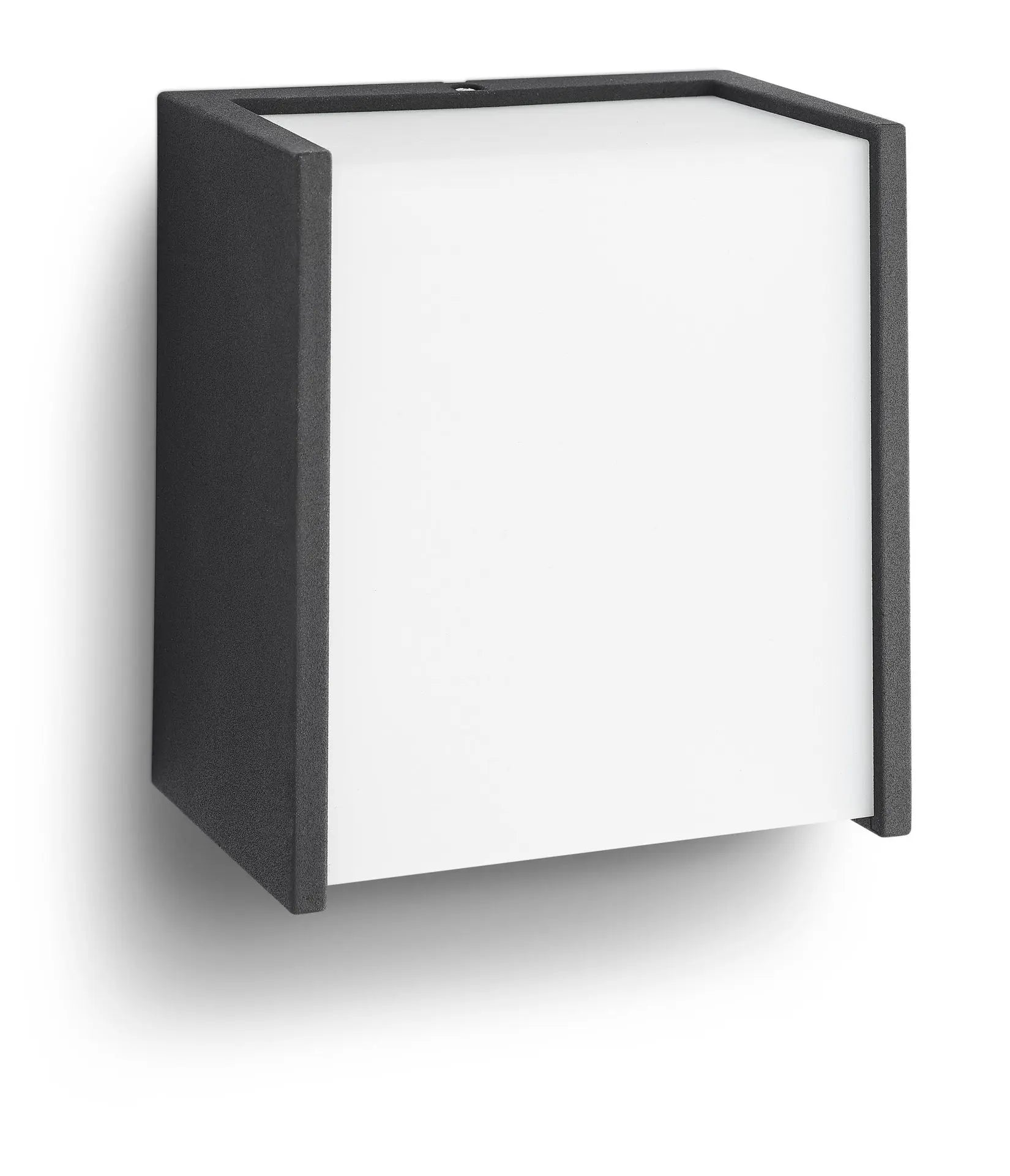 Macaw wall lantern black 1x3W SELV