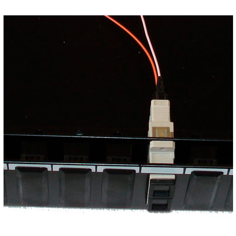 Fiberbox for 12 X SC DupleX 1HE sort