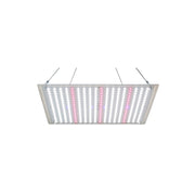 LEDlife Helios vækstlampe 70W, IP65 - Inkl. ophæng, fuldt spektrum, justerbar lysstyrke