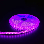 Pink LED-strips på 5 meter med 120 LED pr. meter – 10W/m, 24V, IP65