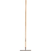 Galax rive, 14-tands/36,0 cm