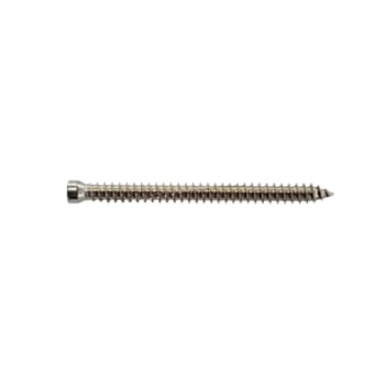 Expandet karmskrue u/hoved 7,5 x 112mm A2, TX30, 100stk.