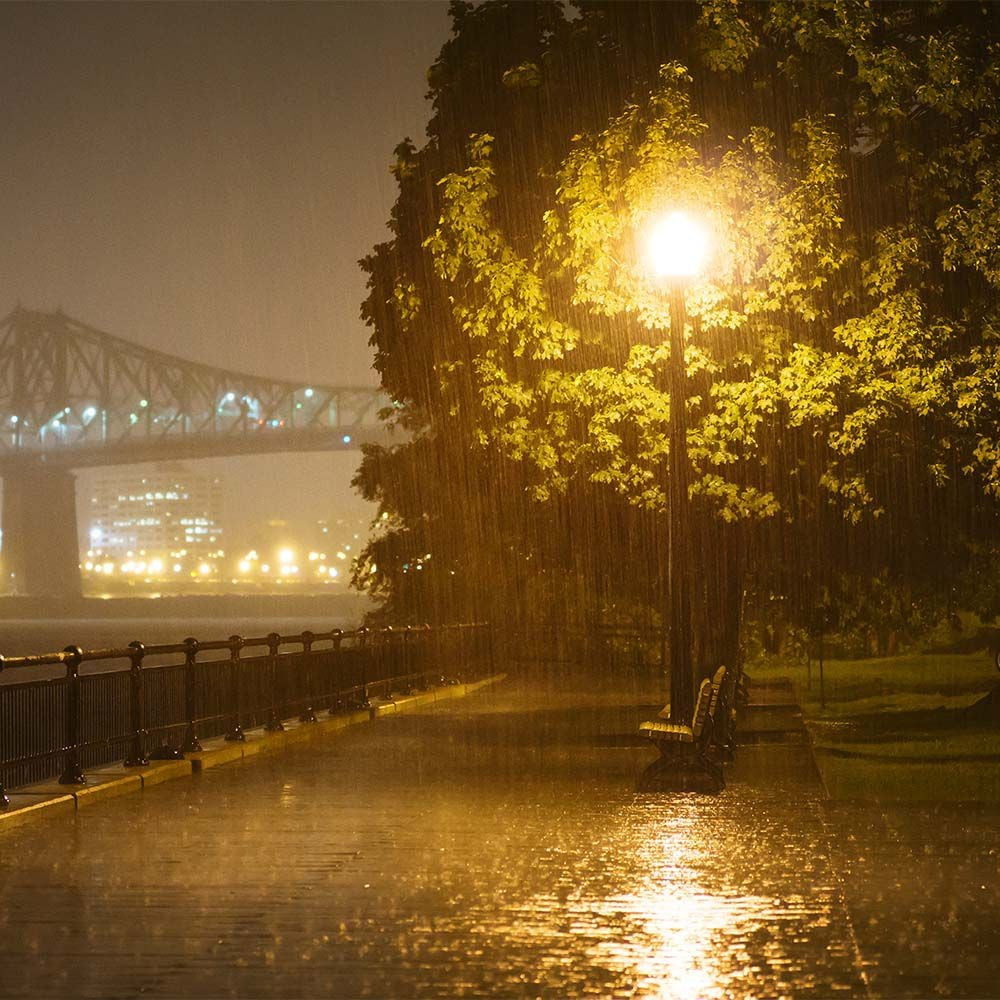 50W LED Vejlys med Fotocellesensor og Samsung Chip - Inkluderer Adapter - Lysfarve 6500K - Lysstyrke på 100lm/W