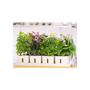 LEDlife Hydroponisk Plantebakke - Hvid, Inkl. Vækstlys, 20 Pladser, 4x2L Vandtank, 34W Effekt