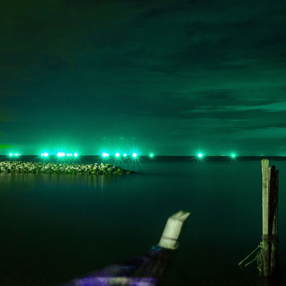 20W LED Projektør med Grønt og Sort Hus - Vejrbestandig IP65, RA70 - Energibesparende og Kraftfuld Belysning