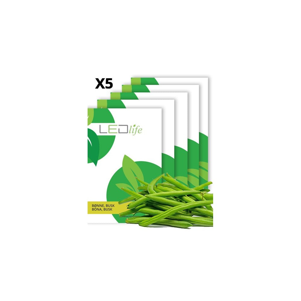 5 ps. Sortfrøet Delinel Buskbønne Frø