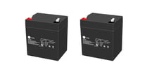 Bly Akku K2 12V - 4,5 Ah T1 - 2 pak
