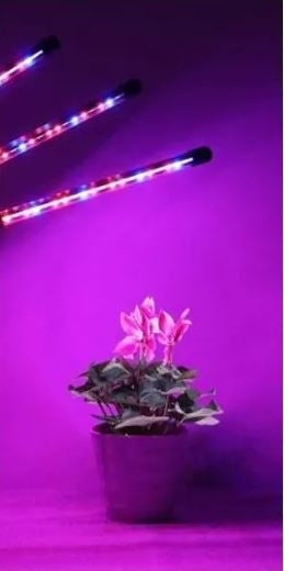 LEDlife vækstlys med stativ - Sort, 4 lamper, justerbar højde, fleksible arme