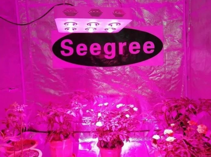 50W vækstlampe LED - Høj kvalitets grow lamp, inkl. ophæng, ægte 50W