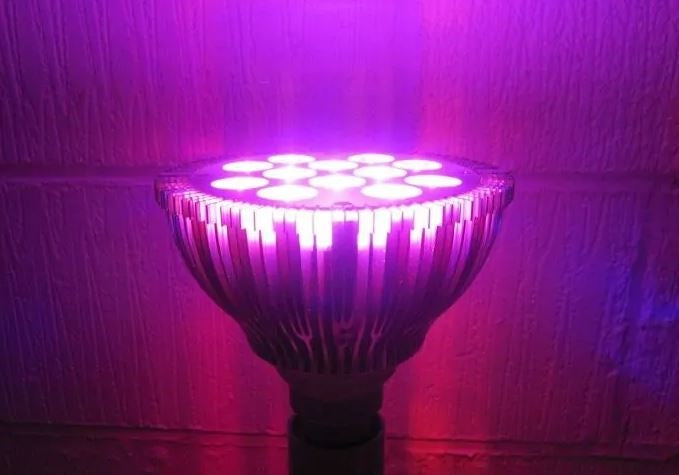 LED 12W vækstlampe, E27, Grow lamp