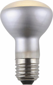 R63 4W 2700K E27 OPAL DIM