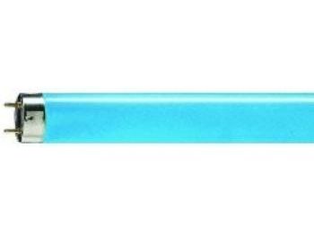T8 Lysstofrør (TL-D) - 36W, 120cm, G13, BLÅ