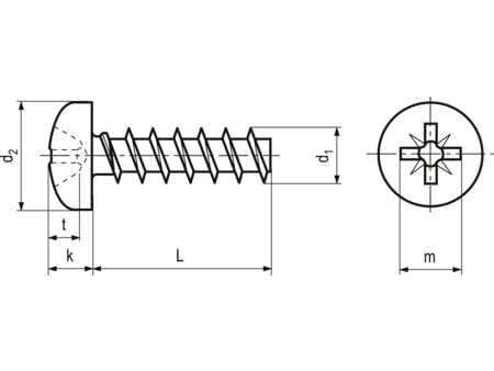 Skrue til plast, panhoved - 3x20mm, pozidriv PZ1 (50 stk.)